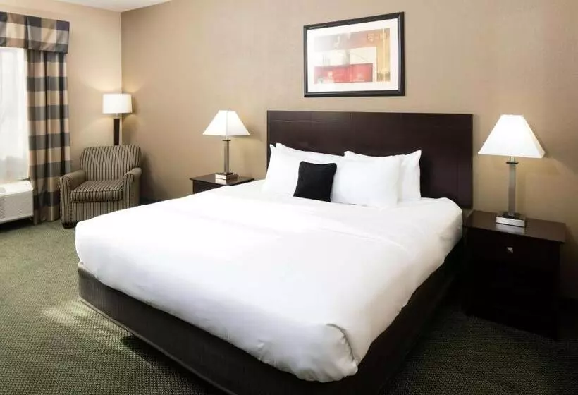 身障者適用キングサイズベッドルーム, Country Inn & Suites By Radisson, Elizabethtown, Ky