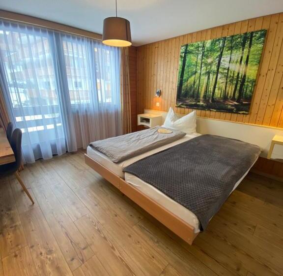 Quarto Estandar Individual, Garni Jägerhof