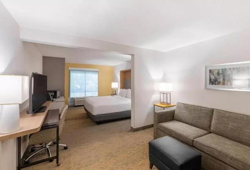 キングサイズベッドのスタンダードルーム, Holiday Inn Hotel & Suites   Orange Park   Wells Rd