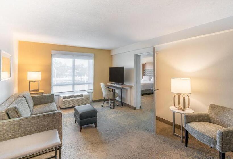 Люкс Кровать Кинг, Holiday Inn Hotel & Suites   Orange Park   Wells Rd