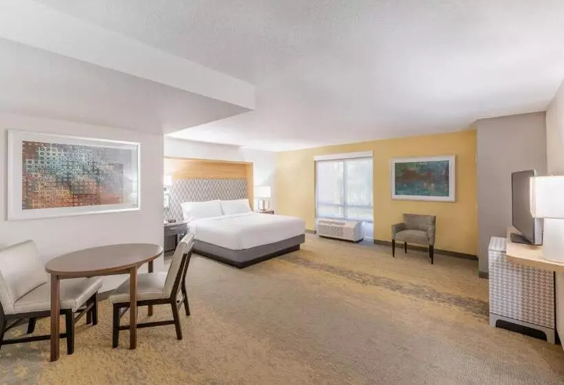 身障者適用スイートルーム, Holiday Inn Hotel & Suites   Orange Park   Wells Rd