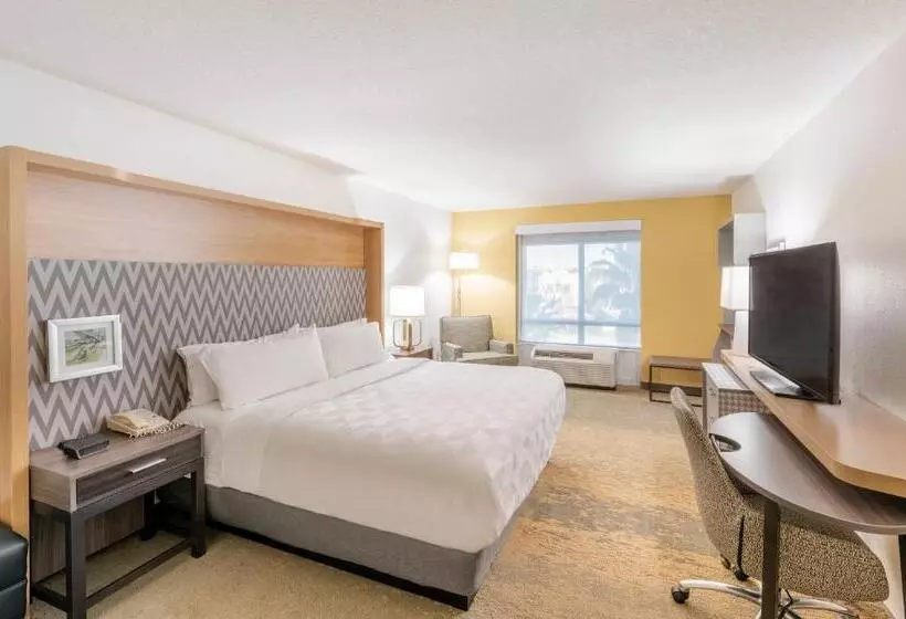 身障者適用キングサイズベッドルーム, Holiday Inn Hotel & Suites   Orange Park   Wells Rd