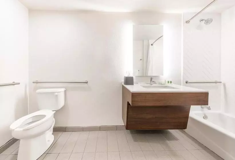 身障者適用スタンダードルーム, Holiday Inn Hotel & Suites   Orange Park   Wells Rd
