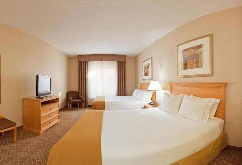 חדר סטנדרט, Holiday Inn Express Hotel & Suites Chesterfield Selfridge Area, An Ihg