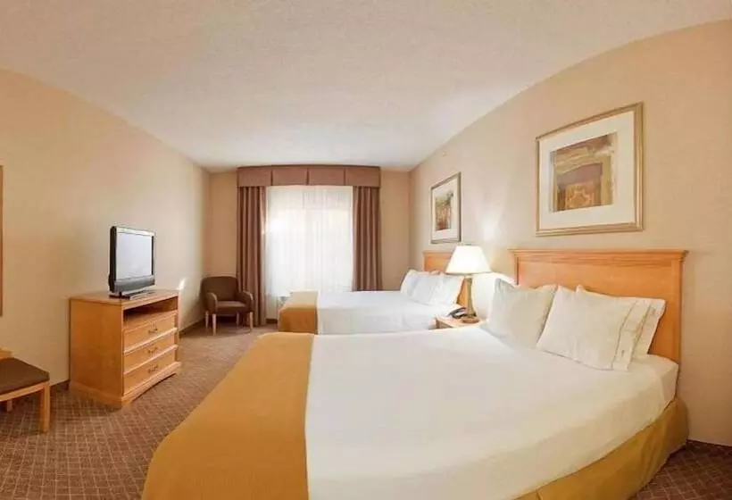 スタンダードルーム, Holiday Inn Express Hotel & Suites Chesterfield   Selfridge Area, An Ihg