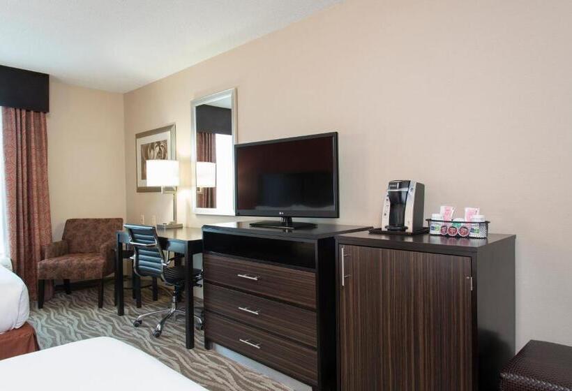 스탠다드 룸 킹사이즈 침대, Holiday Inn Express Hotel & Suites Grand Rapids North, An Ihg