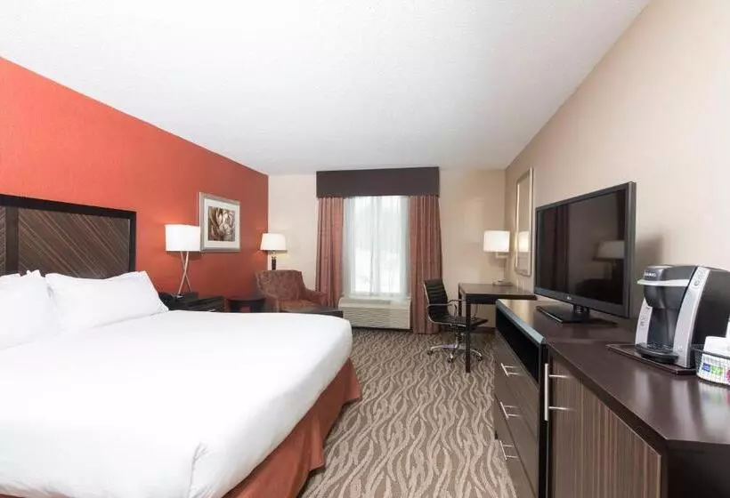 身障者適用キングサイズベッドルーム, Holiday Inn Express Hotel & Suites Grand Rapids North, An Ihg