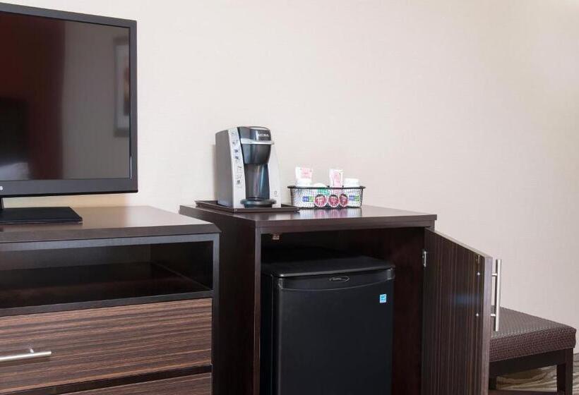 장애인을 위한 킹사이즈 침대 스탠다드 룸, Holiday Inn Express Hotel & Suites Grand Rapids North, An Ihg