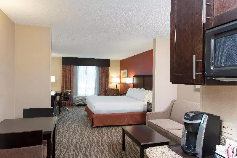 キングサイズベッドのスイートルーム, Holiday Inn Express Hotel & Suites Grand Rapids North, An Ihg