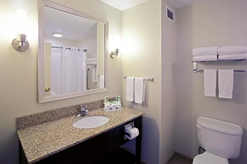 キングサイズベッドのスイートルーム, Holiday Inn Express Hotel & Suites Grand Rapids North, An Ihg