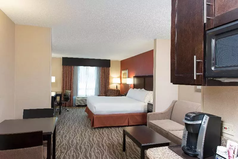キングサイズベッドのスイートルーム, Holiday Inn Express Hotel & Suites Grand Rapids North, An Ihg