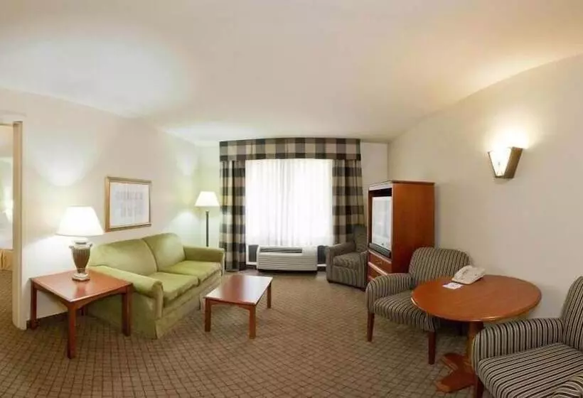 スイート, Holiday Inn Express Hotel & Suites Jackson Flowood, An Ihg