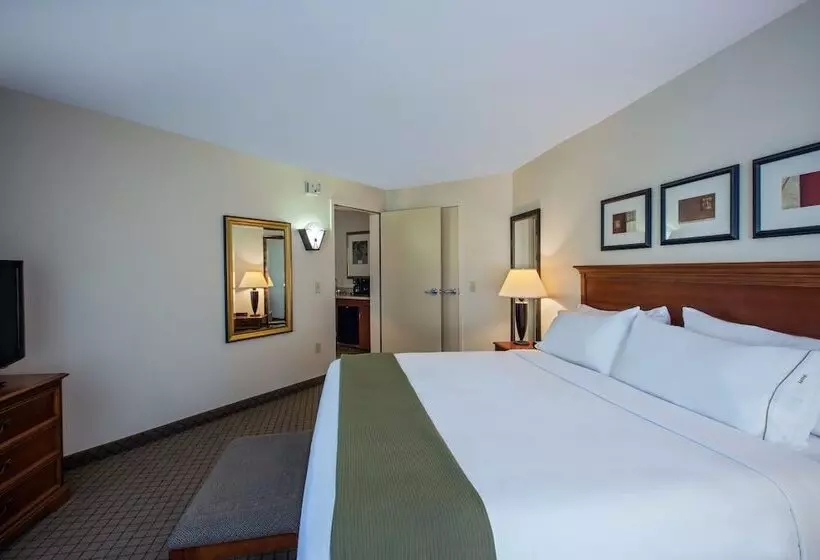 スイート, Holiday Inn Express Hotel & Suites Jackson Flowood, An Ihg