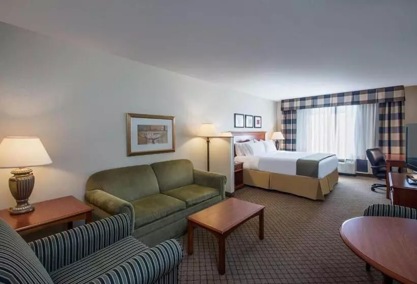 キングサイズベッドのスイートルーム, Holiday Inn Express Hotel & Suites Jackson Flowood, An Ihg