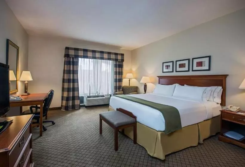 キングサイズベッドのスタンダードルーム, Holiday Inn Express Hotel & Suites Jackson Flowood, An Ihg