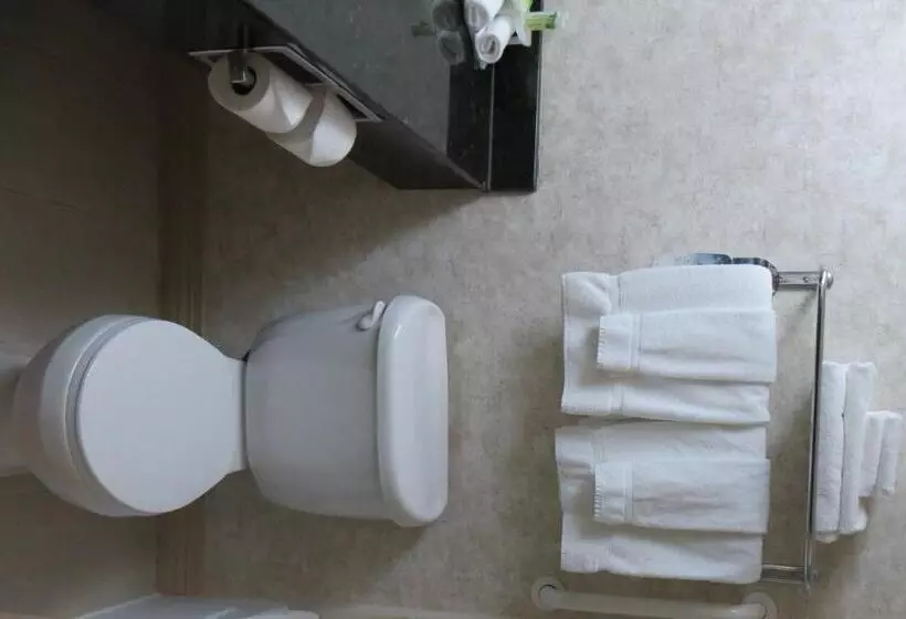 キングサイズベッドのスタンダードルーム, Holiday Inn Express & Suites Macon   I 475, An Ihg
