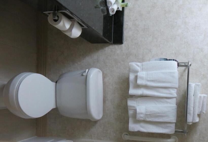 带大床的套房, Holiday Inn Express & Suites Macon   I 475, An Ihg