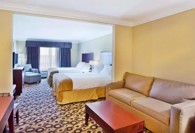 スイート, Holiday Inn Express & Suites Macon   I 475, An Ihg