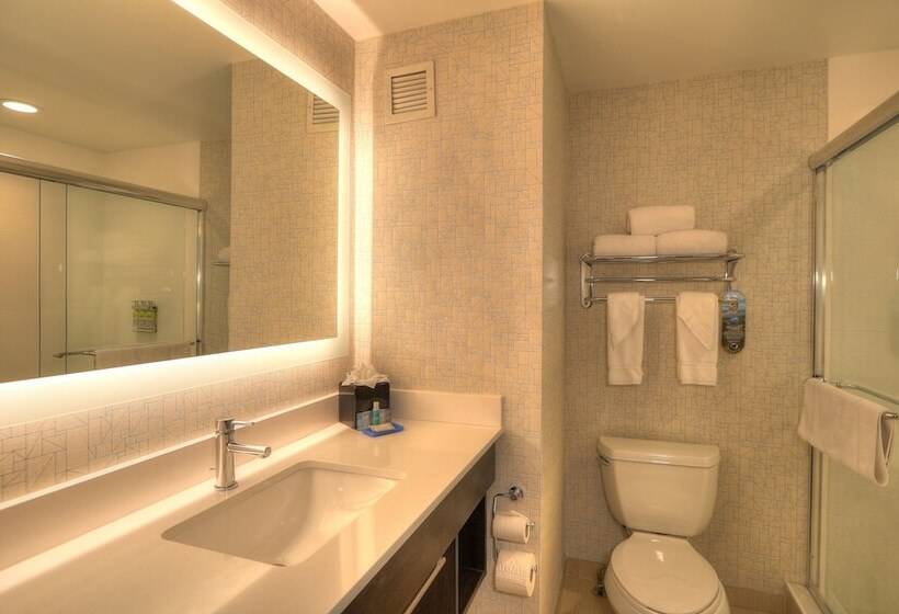 Номер Стандарт, Holiday Inn Express Hotel & Suites Mobile Saraland, An Ihg