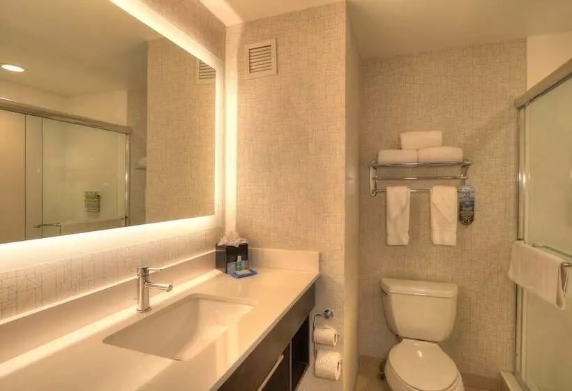 スタンダードルーム, Holiday Inn Express Hotel & Suites Mobile Saraland, An Ihg