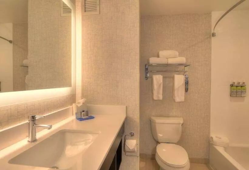 スイート, Holiday Inn Express Hotel & Suites Mobile Saraland, An Ihg