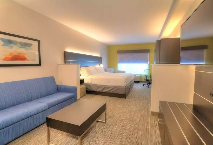 スイート, Holiday Inn Express Hotel & Suites Mobile Saraland, An Ihg