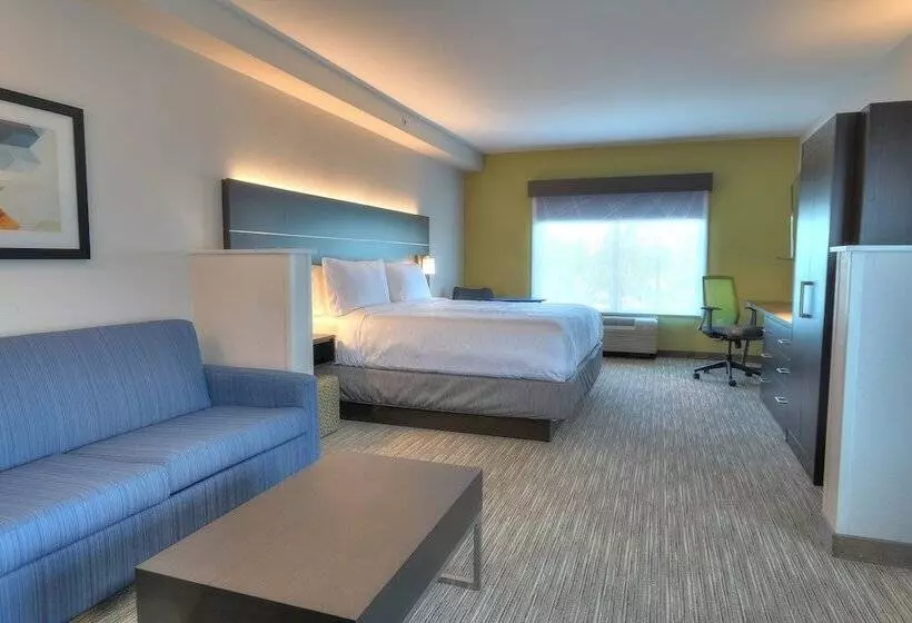 スイート, Holiday Inn Express Hotel & Suites Mobile Saraland, An Ihg