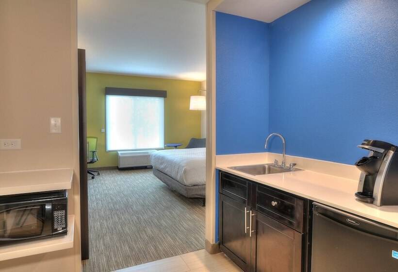 Люкс, Holiday Inn Express Hotel & Suites Mobile Saraland, An Ihg