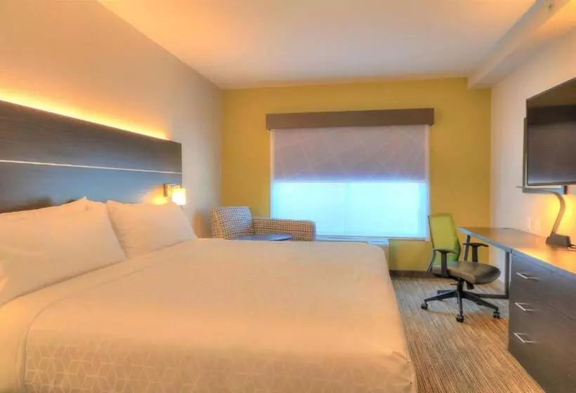 キングサイズベッドのエクゼクティブ, Holiday Inn Express Hotel & Suites Mobile Saraland, An Ihg