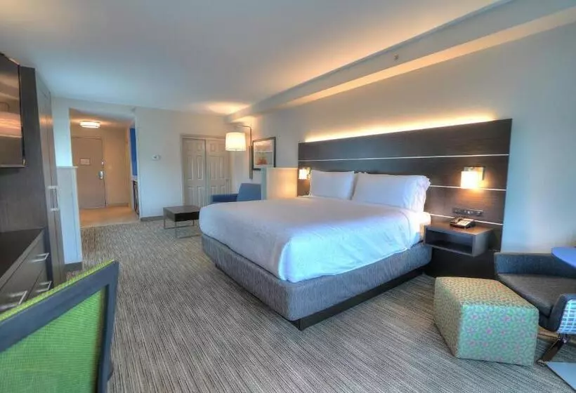 キングサイズベッドのエクゼクティブ, Holiday Inn Express Hotel & Suites Mobile Saraland, An Ihg
