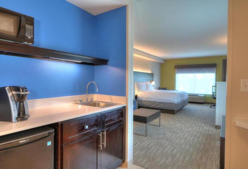 Люкс Executive Кровать Кинг, Holiday Inn Express Hotel & Suites Mobile Saraland, An Ihg