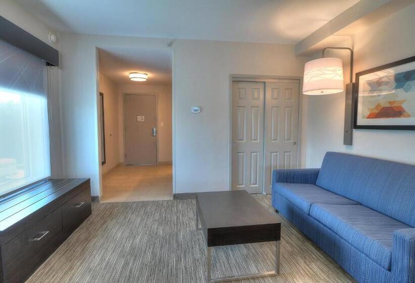 Люкс Executive Кровать Кинг, Holiday Inn Express Hotel & Suites Mobile Saraland, An Ihg