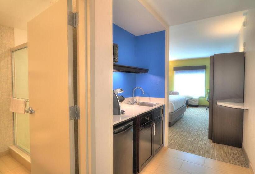 Номер Executive Кровать Кинг, Holiday Inn Express Hotel & Suites Mobile Saraland, An Ihg