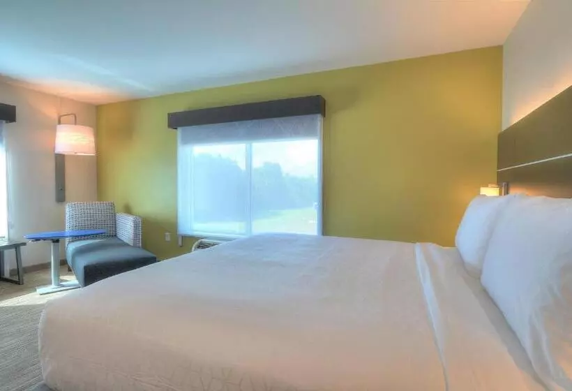キングサイズベッドのスタンダードルーム, Holiday Inn Express Hotel & Suites Mobile Saraland, An Ihg