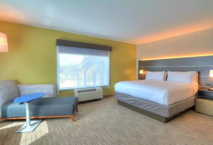 キングサイズベッドのスタンダードルーム, Holiday Inn Express Hotel & Suites Mobile Saraland, An Ihg