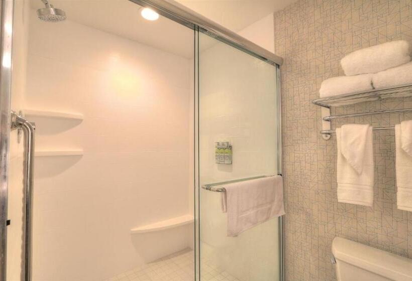 Стандартный Номер Кровать Кинг, Holiday Inn Express Hotel & Suites Mobile Saraland, An Ihg