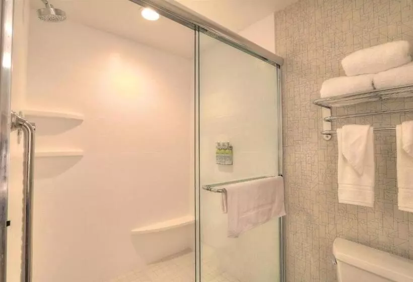 キングサイズベッドのスタンダードルーム, Holiday Inn Express Hotel & Suites Mobile Saraland, An Ihg