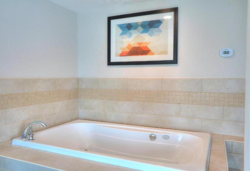 Стандартный Номер Кровать Кинг, Holiday Inn Express Hotel & Suites Mobile Saraland, An Ihg