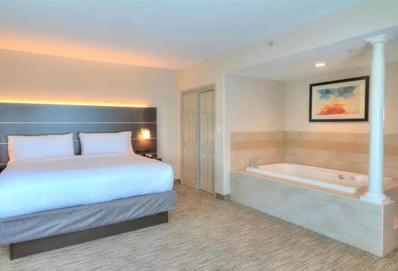 キングサイズベッドのスタンダードルーム, Holiday Inn Express Hotel & Suites Mobile Saraland, An Ihg