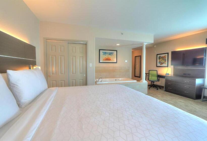 Стандартный Номер Кровать Кинг, Holiday Inn Express Hotel & Suites Mobile Saraland, An Ihg