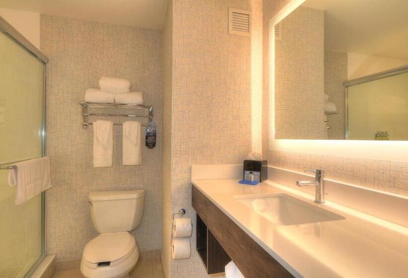 Стандартный Номер Кровать Кинг, Holiday Inn Express Hotel & Suites Mobile Saraland, An Ihg