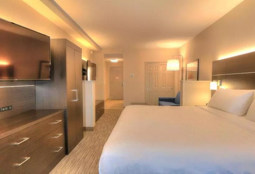キングサイズベッドのスイートルーム, Holiday Inn Express Hotel & Suites Mobile Saraland, An Ihg