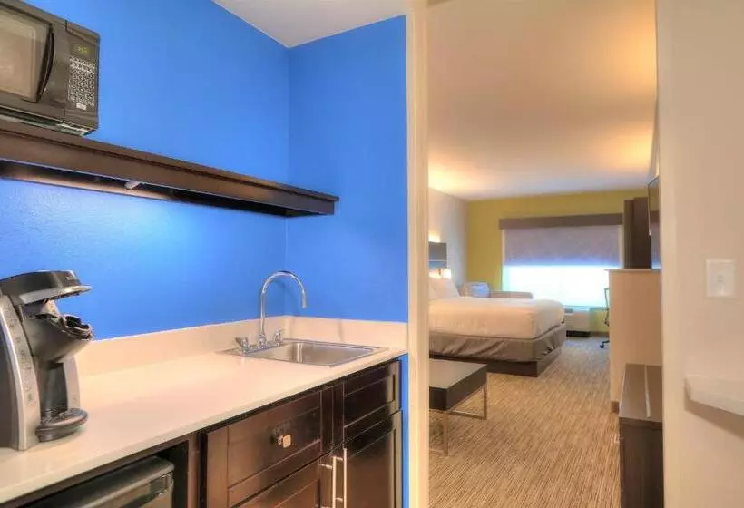 キングサイズベッドのスイートルーム, Holiday Inn Express Hotel & Suites Mobile Saraland, An Ihg