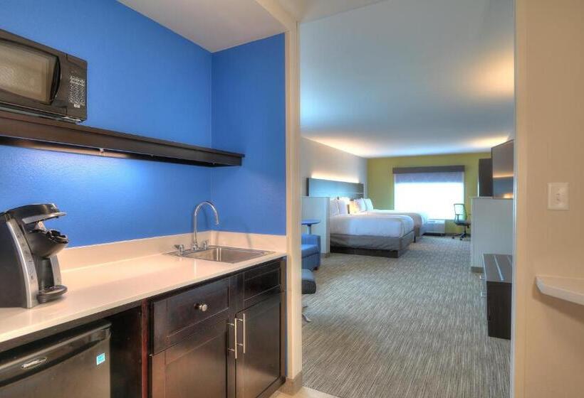 Люкс, Holiday Inn Express Hotel & Suites Mobile Saraland, An Ihg