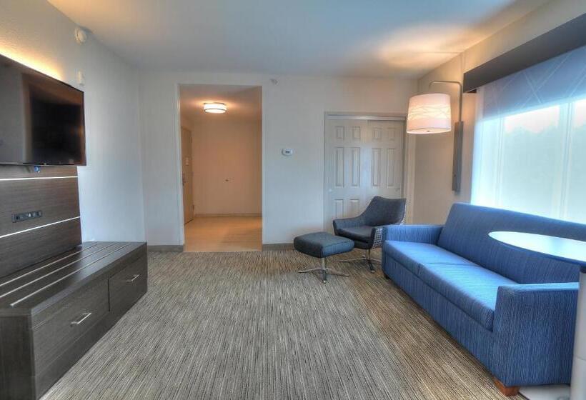 Люкс, Holiday Inn Express Hotel & Suites Mobile Saraland, An Ihg