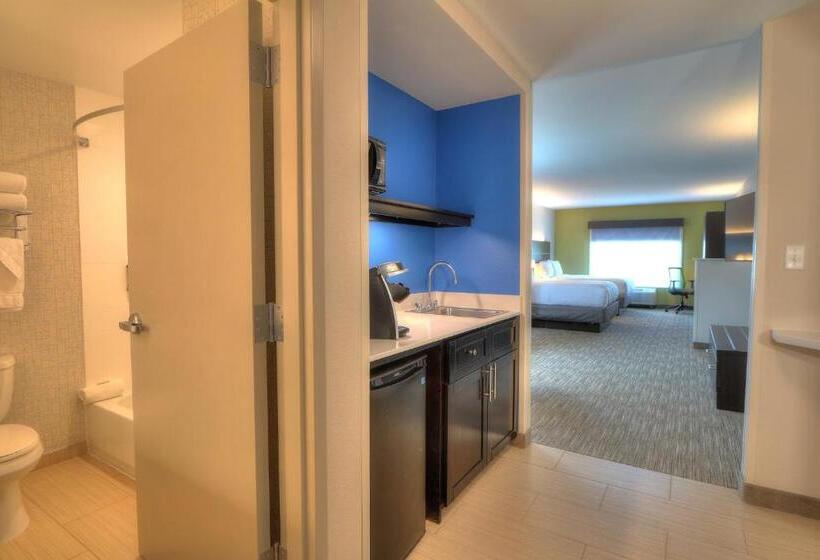 Люкс, Holiday Inn Express Hotel & Suites Mobile Saraland, An Ihg