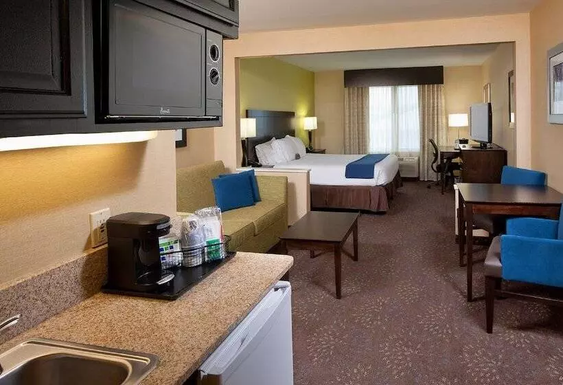 سوییت, Holiday Inn Express Hotel & Suites Saginaw, An Ihg