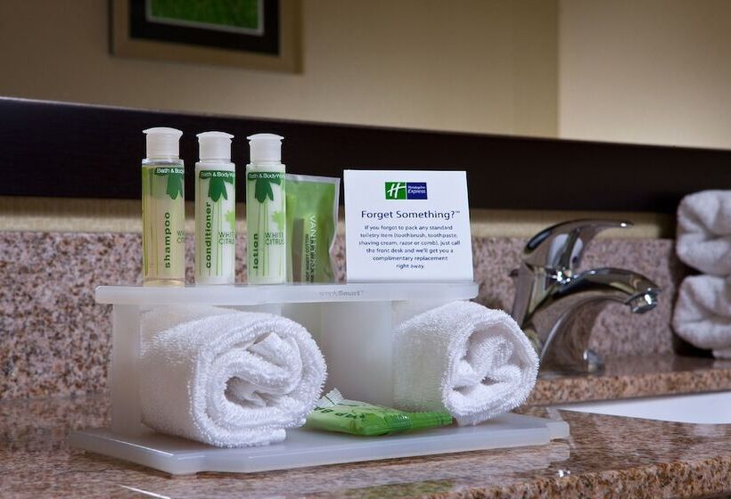 جناح, Holiday Inn Express Hotel & Suites Saginaw, An Ihg