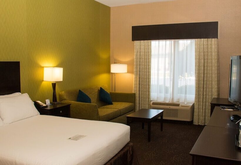 Люкс, Holiday Inn Express Hotel & Suites Saginaw, An Ihg