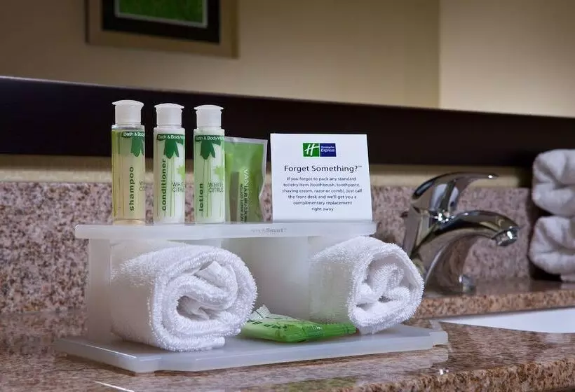 اتاق استاندارد, Holiday Inn Express Hotel & Suites Saginaw, An Ihg